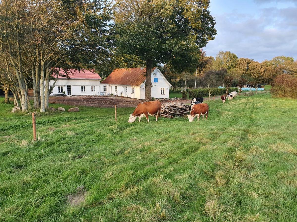 Slotsgaardens Feriegard. Jels Exterior foto